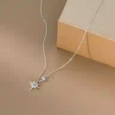 ins s925