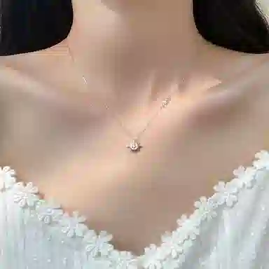 ins s925