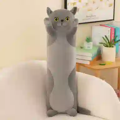 50cm