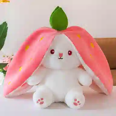 25cm35cm