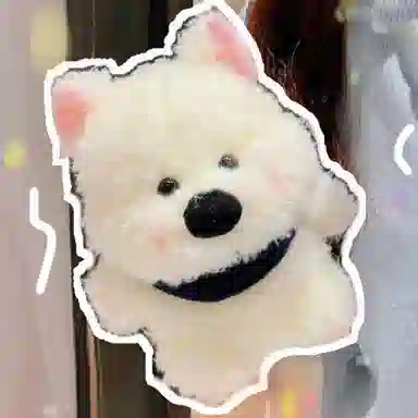 23cm