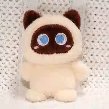 20cm