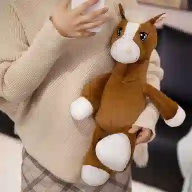33cm43cm