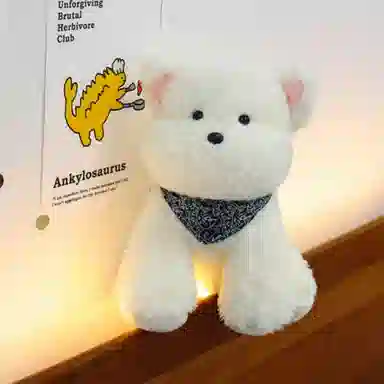 25cm
