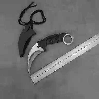 cs2