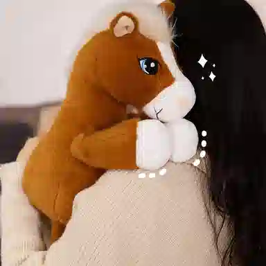 33cm43cm