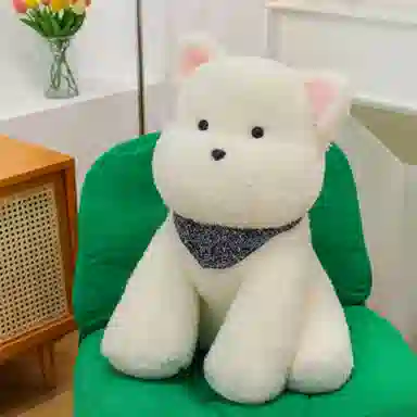 25cm