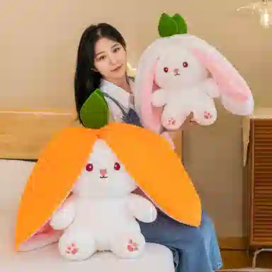 25cm35cm