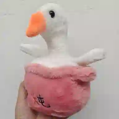 23cm