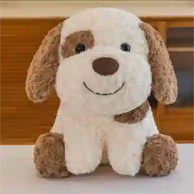 25cm