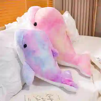 20cm45cm