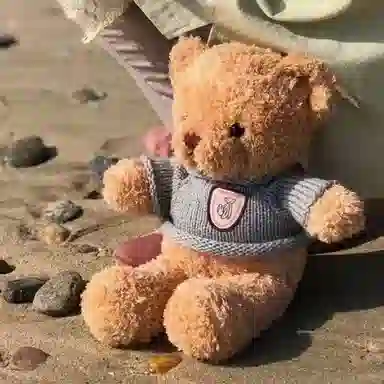 30cm40cm
