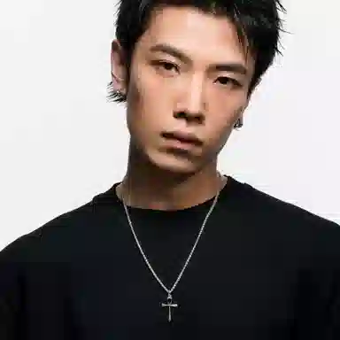 ins 925