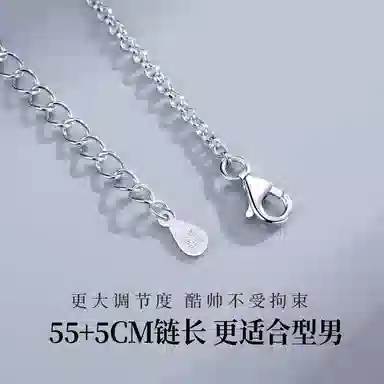 ins s999
