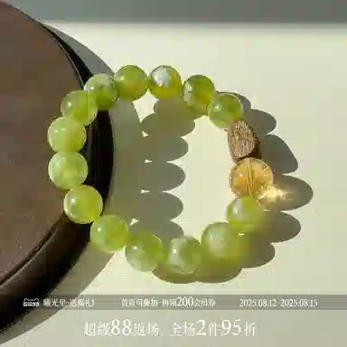 INS