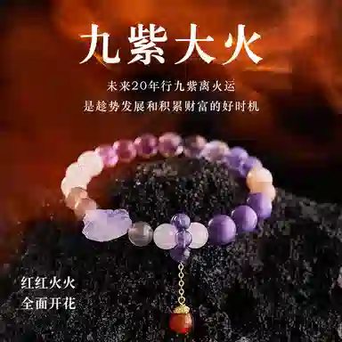 子婳 九紫离火多宝本命年转运珠招财轻奢百搭告白礼物#好运 紫水晶 手串 女款