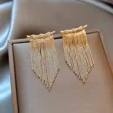 子婳 金色竹节长款流苏轻奢高级感夏季独特气质耳饰 合金 耳环 女款