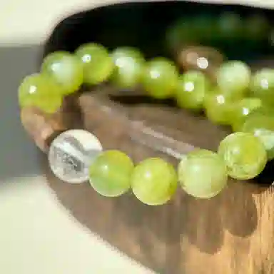 INS
