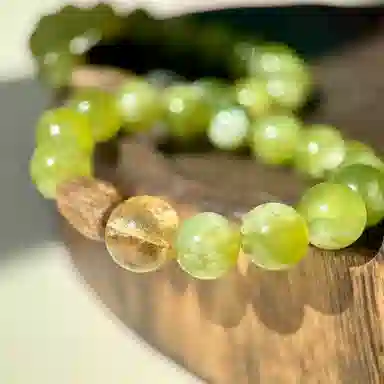 INS