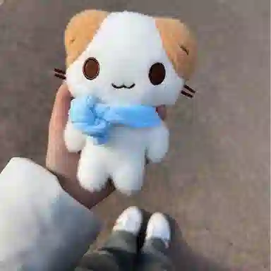 ZOCO 14cm15cm18cm20cm