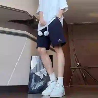 ZIAREL