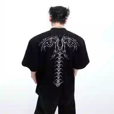ZIAREL T