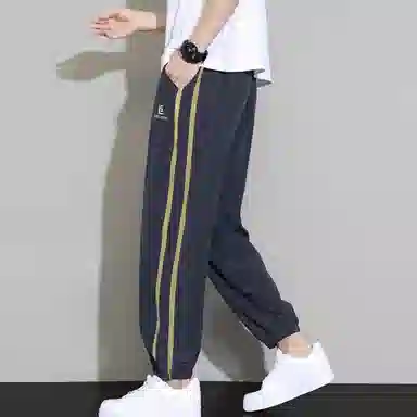 ZIAREL
