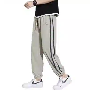 ZIAREL