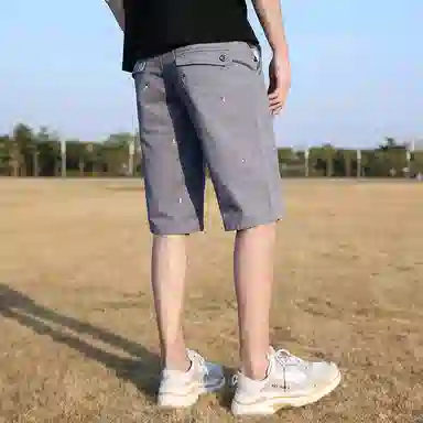 FRALAARRI