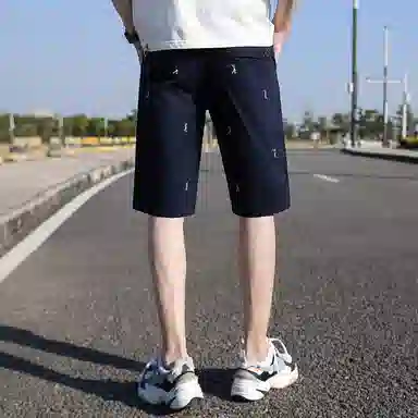 FRALAARRI