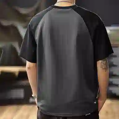 FRALAARRI T