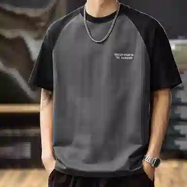 FRALAARRI T