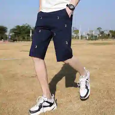 FRALAARRI