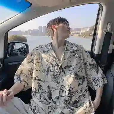 CTIDESTRAW ins