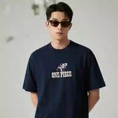 ONE PIECE insT