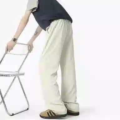 INS