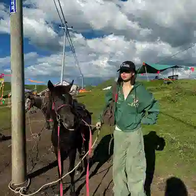 黛尔佳人 简约通勤休闲卫衣 女款