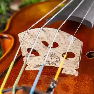 SCOTT CAO STV-900 900 44