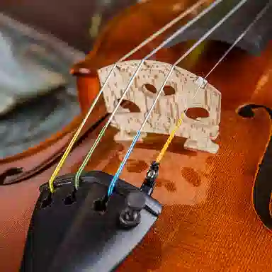 SCOTT CAO STV-850 44