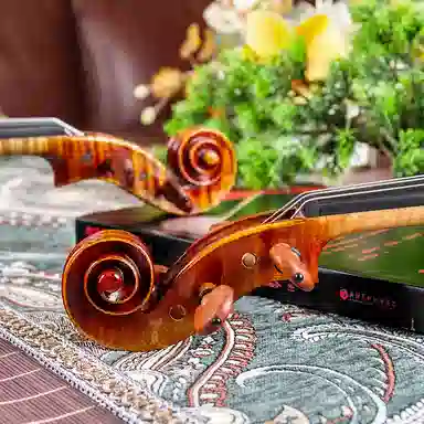 SCOTT CAO STV-900 900 44