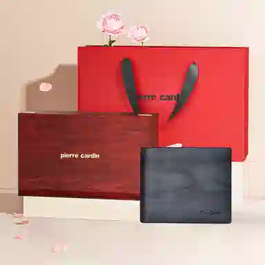 PIERRE CARDIN