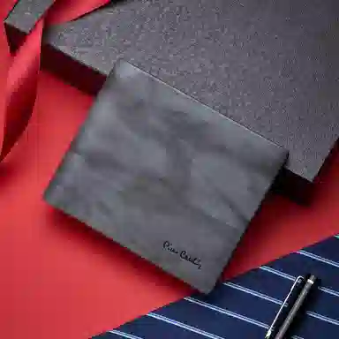 PIERRE CARDIN