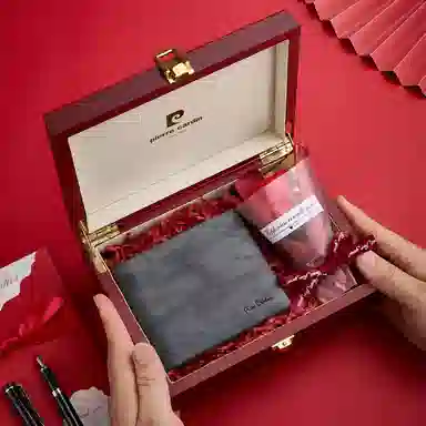 PIERRE CARDIN
