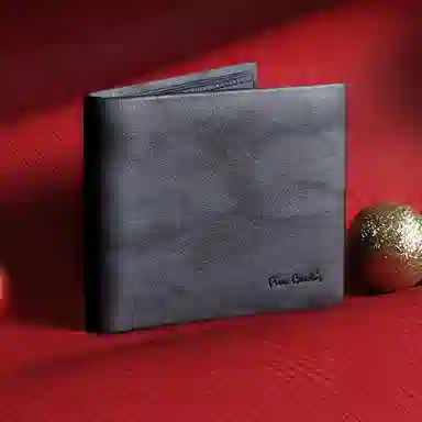 PIERRE CARDIN