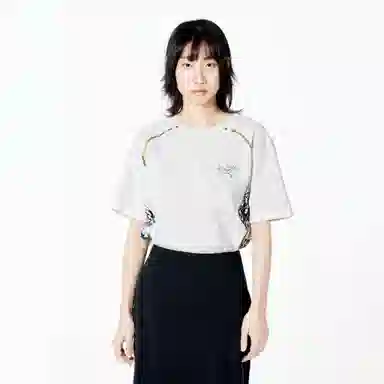 Arcteryx KRAGG logoT