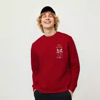 Arcteryx Emblem logo