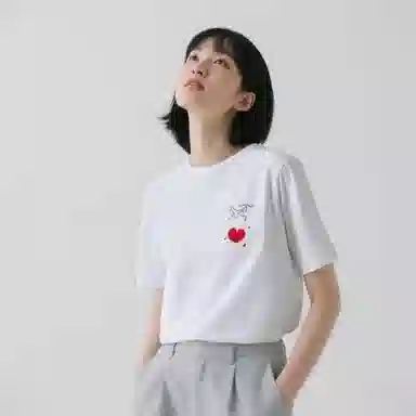 Arcteryx KRAGG 3DLOGOT