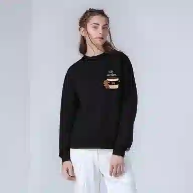 Arcteryx Emblem logo