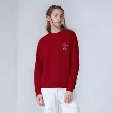 Arcteryx Emblem Alogo