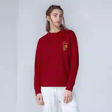 Arcteryx Emblem logo